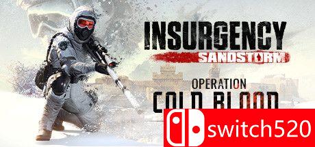 《叛乱：沙尘暴（Insurgency: Sandstorm）》官方中文  SKIDROW镜像版[CN/TW/EN/JP]_0