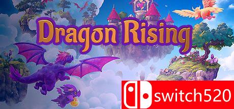 《龙的崛起（Dragon Rising）》官方中文 DARKZER0硬盘版[CN/EN]_0