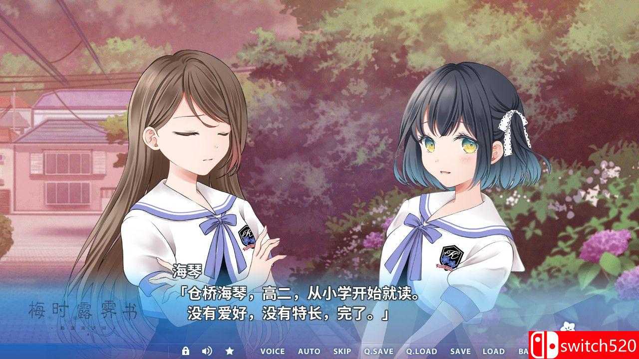 《梅时露霁书~雨潺海汐间~（Letters From a Rainy Day）》B.6954812 Chronos硬盘版[CN/EN/JP]_1