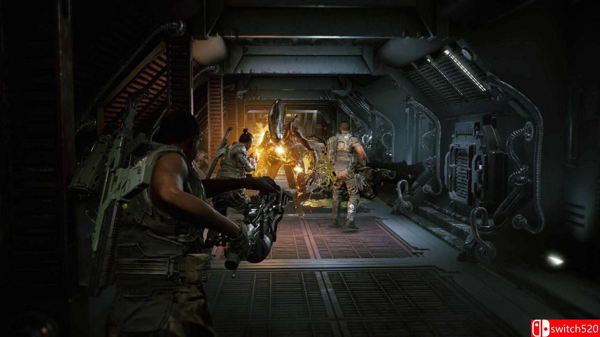《异形：火力小队（Aliens: Fireteam Elite）》官方中文 CODEX镜像版[CN/TW/EN]_2