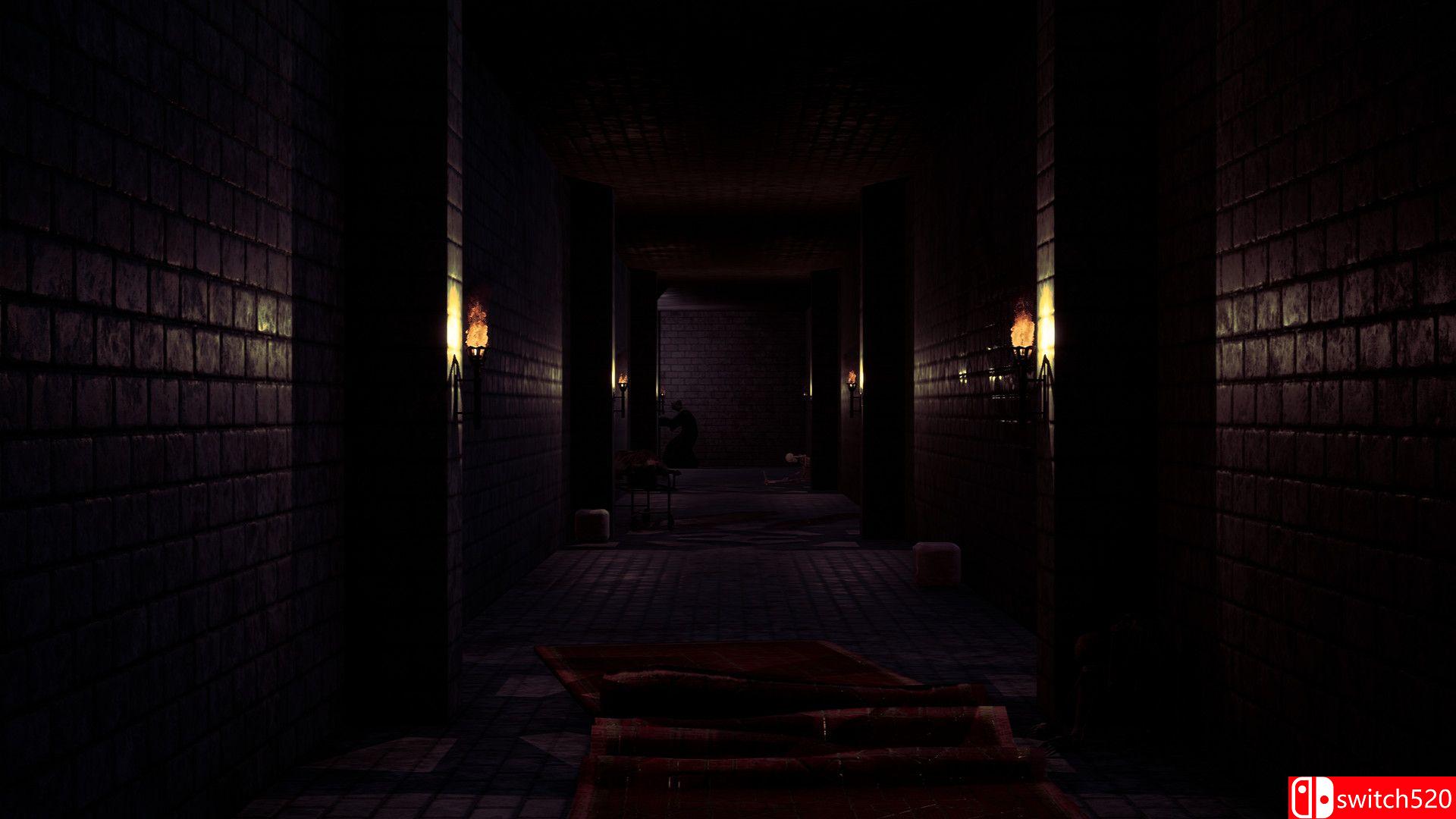 《马格瑞尔之谜（Magurele Mystery）》TiNYiSO镜像版[EN]_1