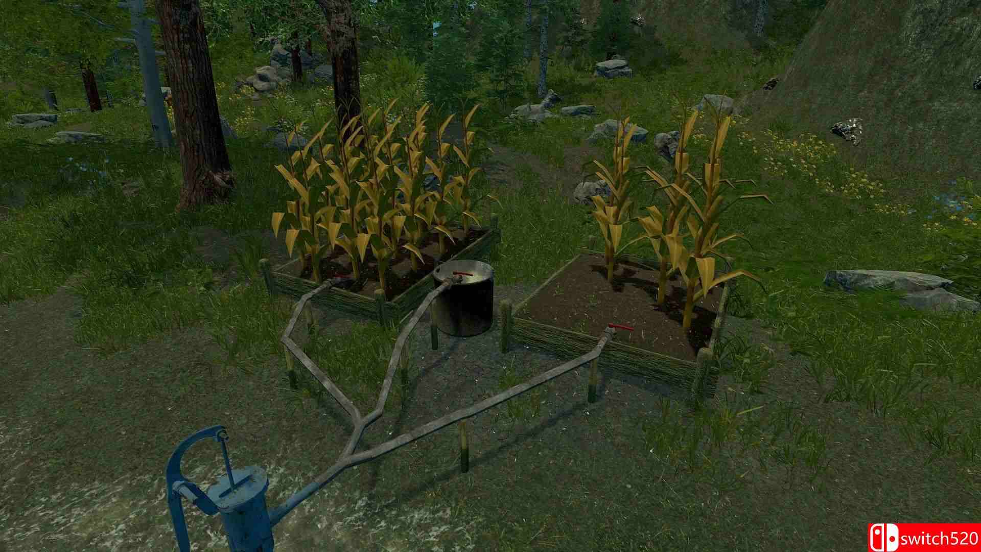 《荒野的试炼（Trials of Wilderness）》官方中文 DARKSiDERS镜像版[CN/EN]_2