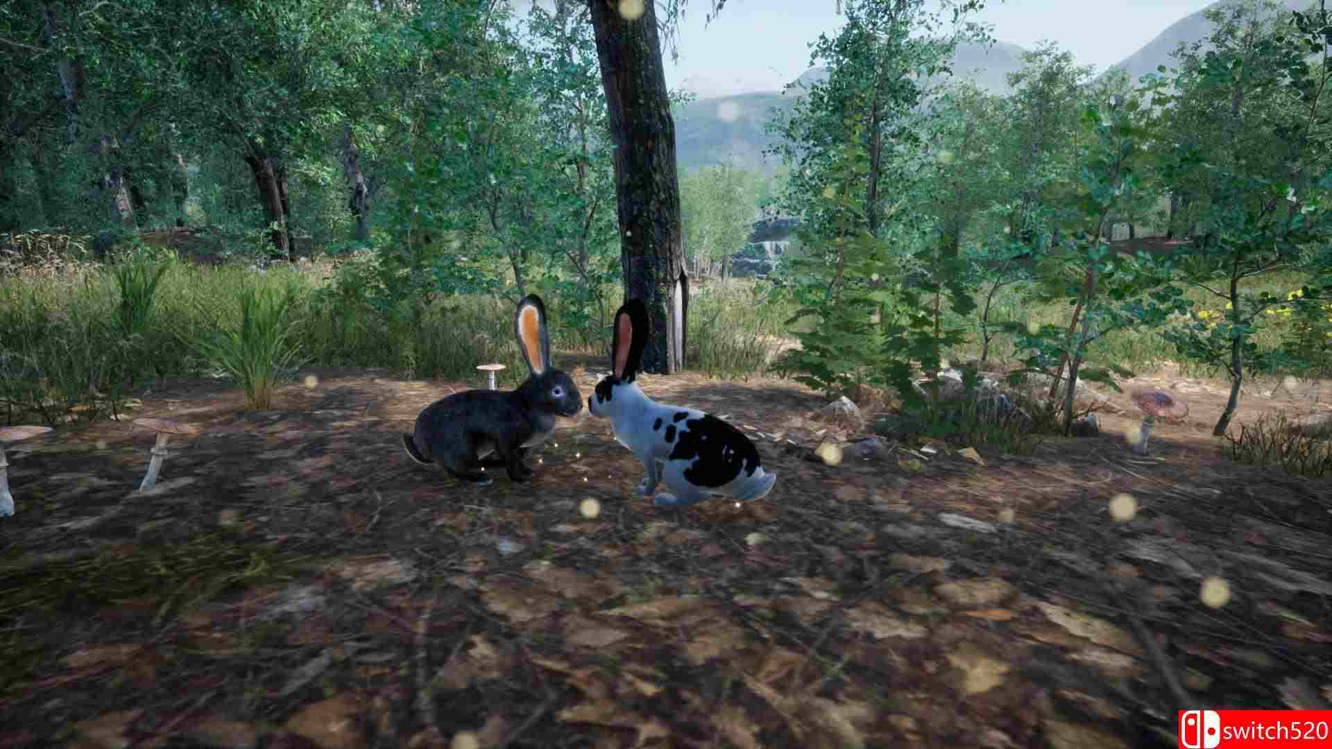 《兔子草场（Rabbit Meadow）》TiNYiSO镜像版[EN]_4