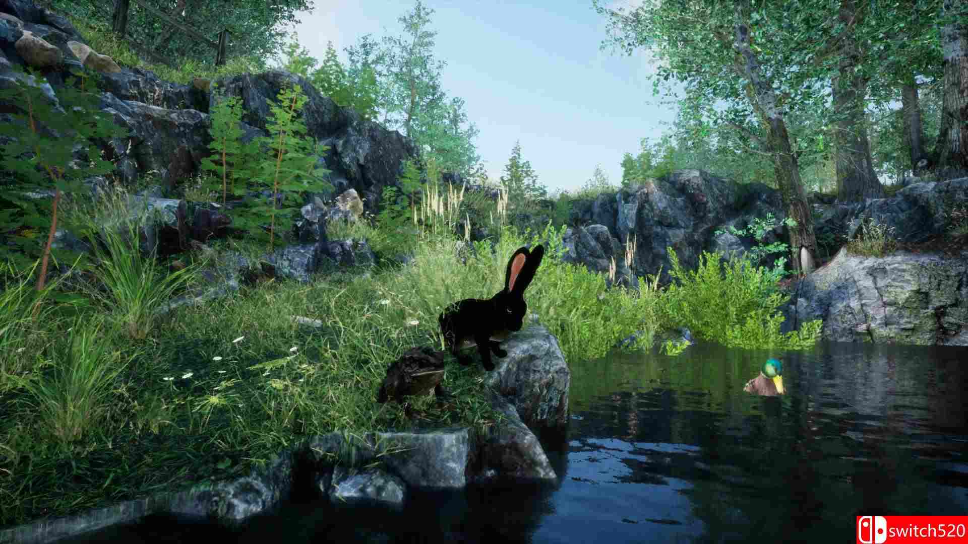 《兔子草场（Rabbit Meadow）》TiNYiSO镜像版[EN]_2