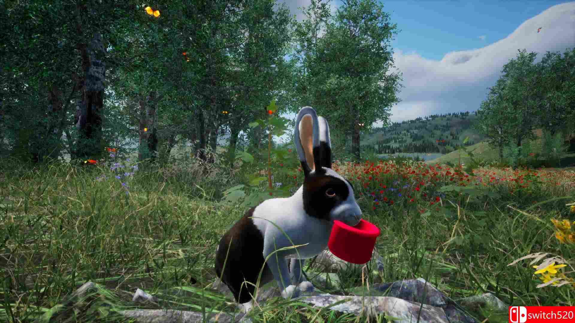 《兔子草场（Rabbit Meadow）》TiNYiSO镜像版[EN]_1