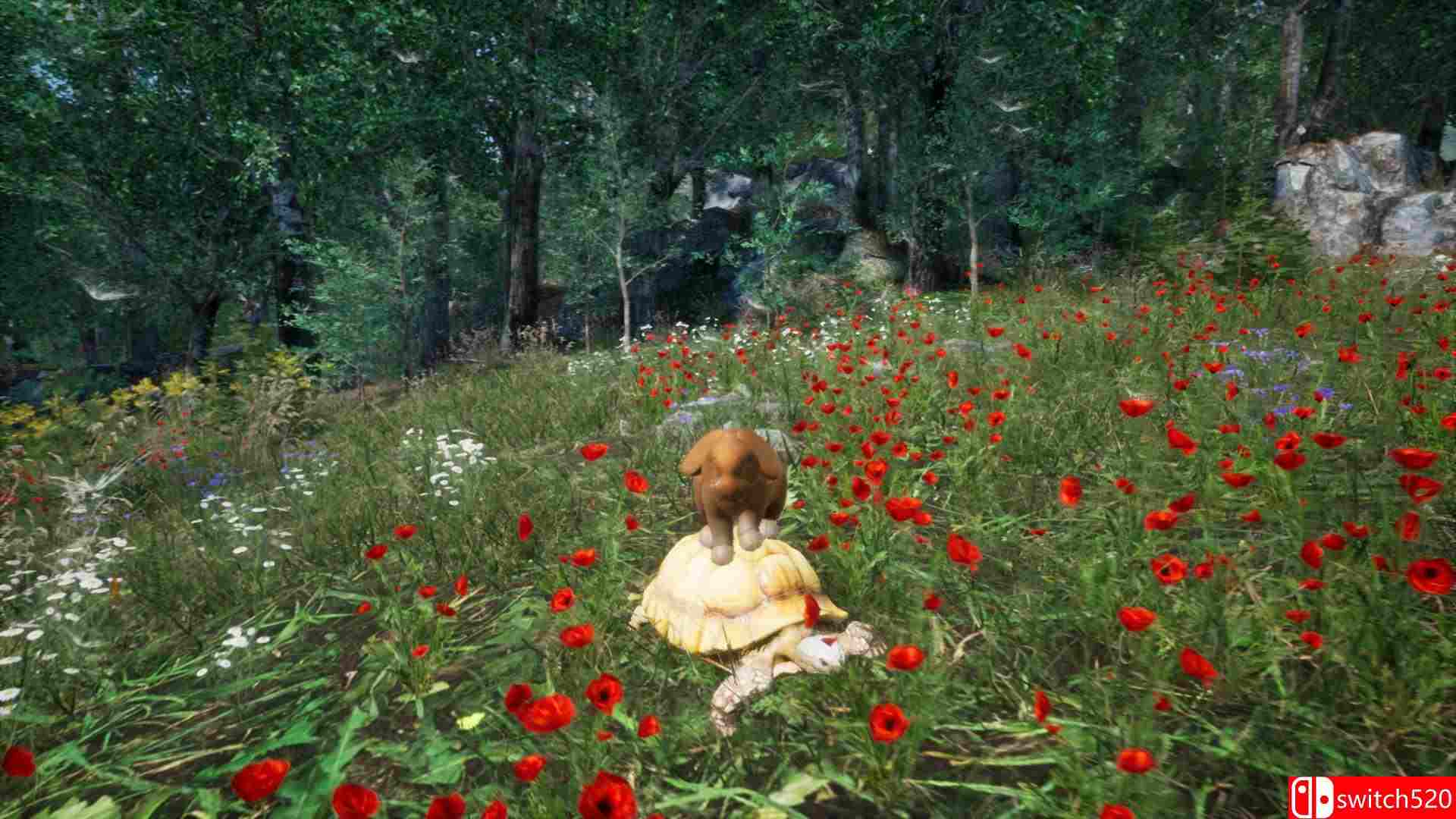 《兔子草场（Rabbit Meadow）》TiNYiSO镜像版[EN]_3