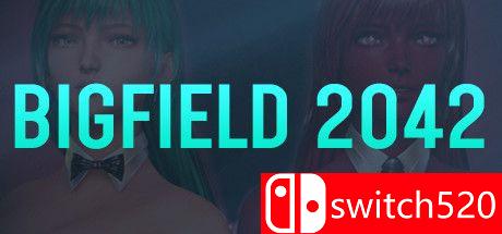 《大地2042（Bigfield 2042）》DARKSiDERS镜像版[EN]_0
