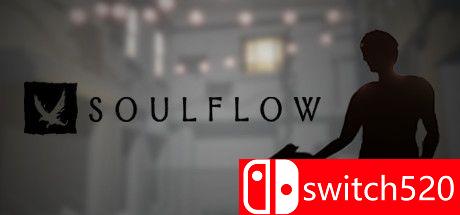 《灵魂之流（Soulflow）》DARKZER0硬盘版[EN]_0