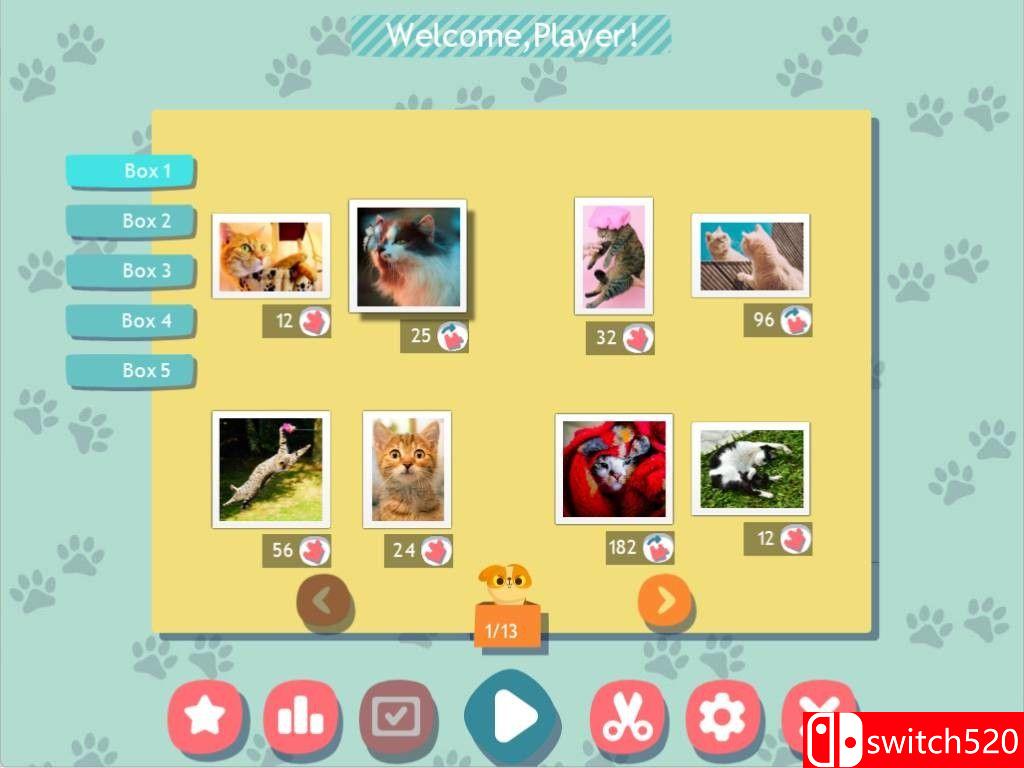 《1001拼图：可爱猫咪（1001 Jigsaw. Cute Cats）》RAZOR硬盘版[EN]_2