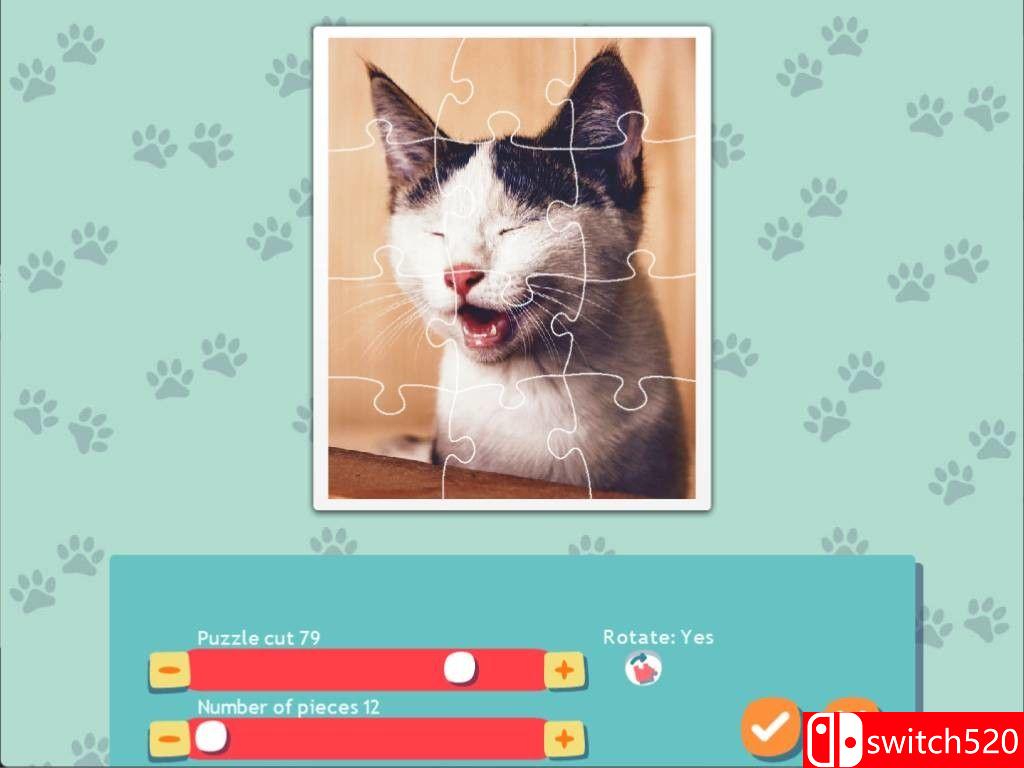 《1001拼图：可爱猫咪（1001 Jigsaw. Cute Cats）》RAZOR硬盘版[EN]_3