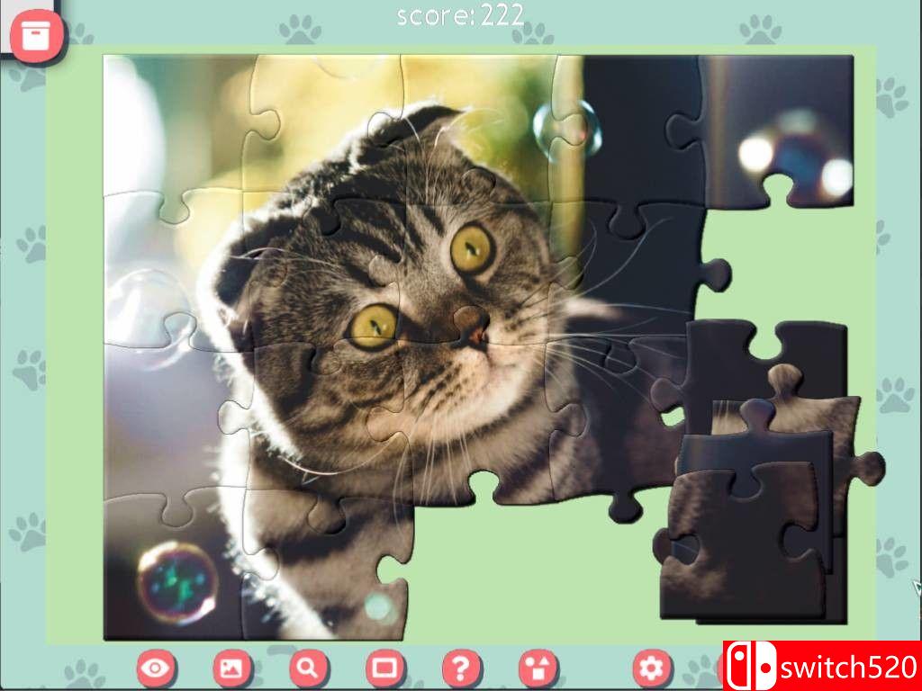 《1001拼图：可爱猫咪（1001 Jigsaw. Cute Cats）》RAZOR硬盘版[EN]_4