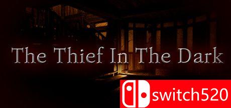 《黑暗中的盗贼（The Thief In The Dark）》TiNYiSO镜像版[EN]_0