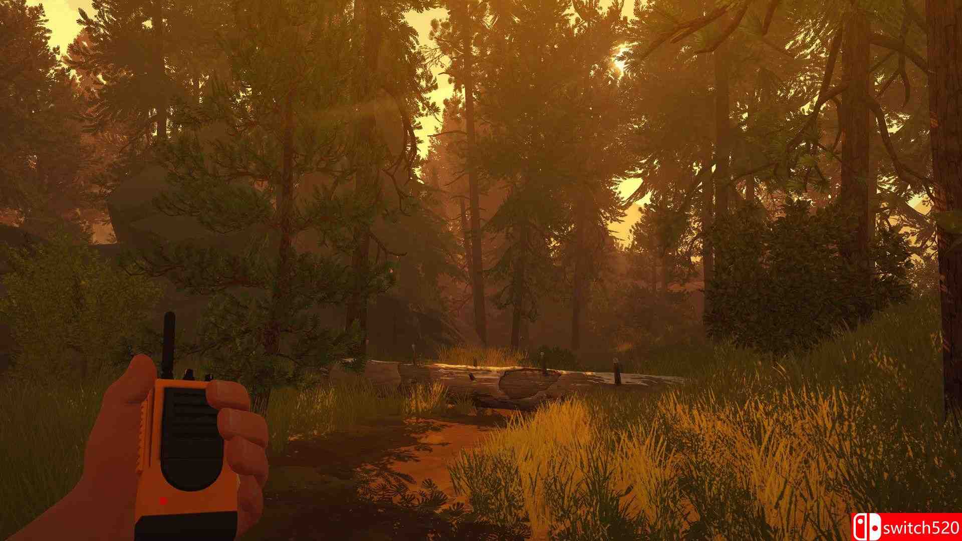 《看火人（Firewatch）》官方中文 v1.1.2 DINOByTES镜像版[CN/EN/JP]_3