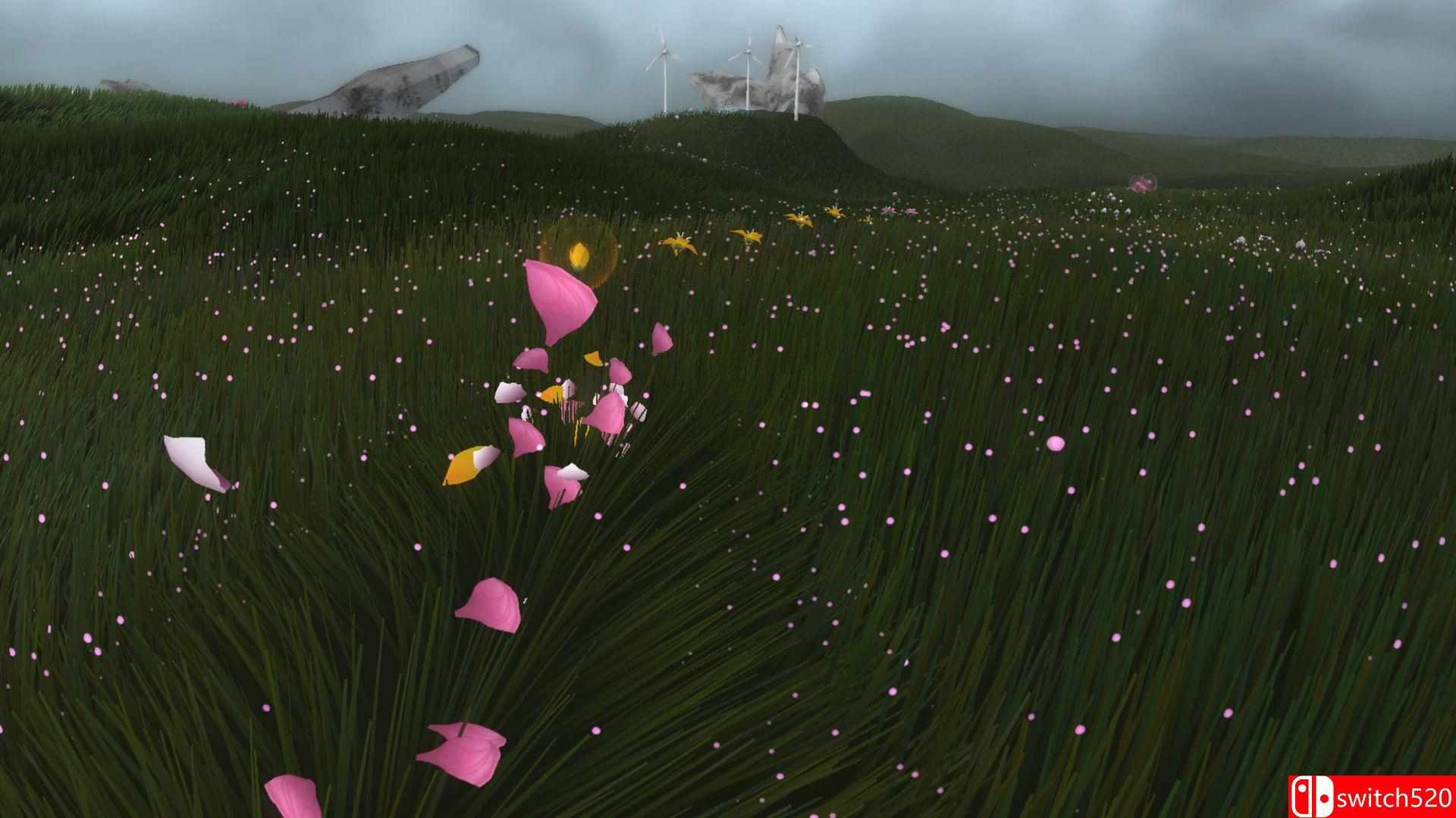 《花（Flower）》官方中文 I_KnoW镜像版[CN/TW/EN/JP]_5