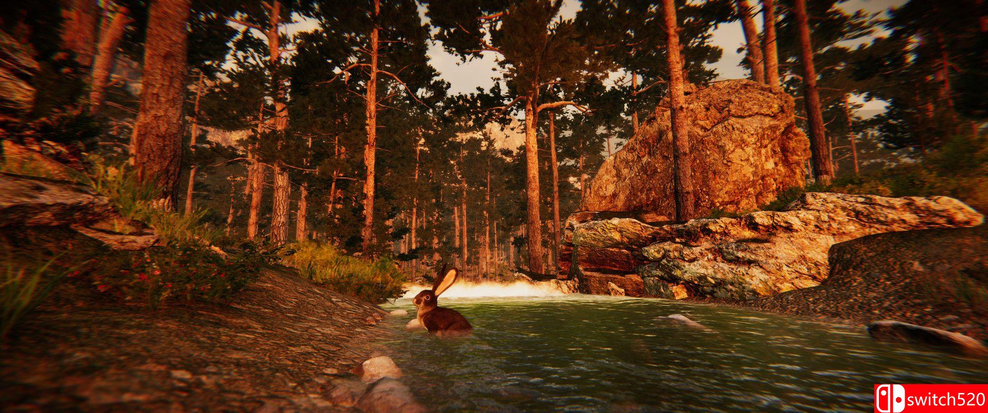 《动物模拟器（Animal Simulator）》TENOKE镜像版[EN]_4
