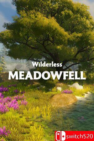 《荒野：梅多费尔（Wilderless: Meadowfell）》Build 17369606 P2P硬盘版[EN]_0