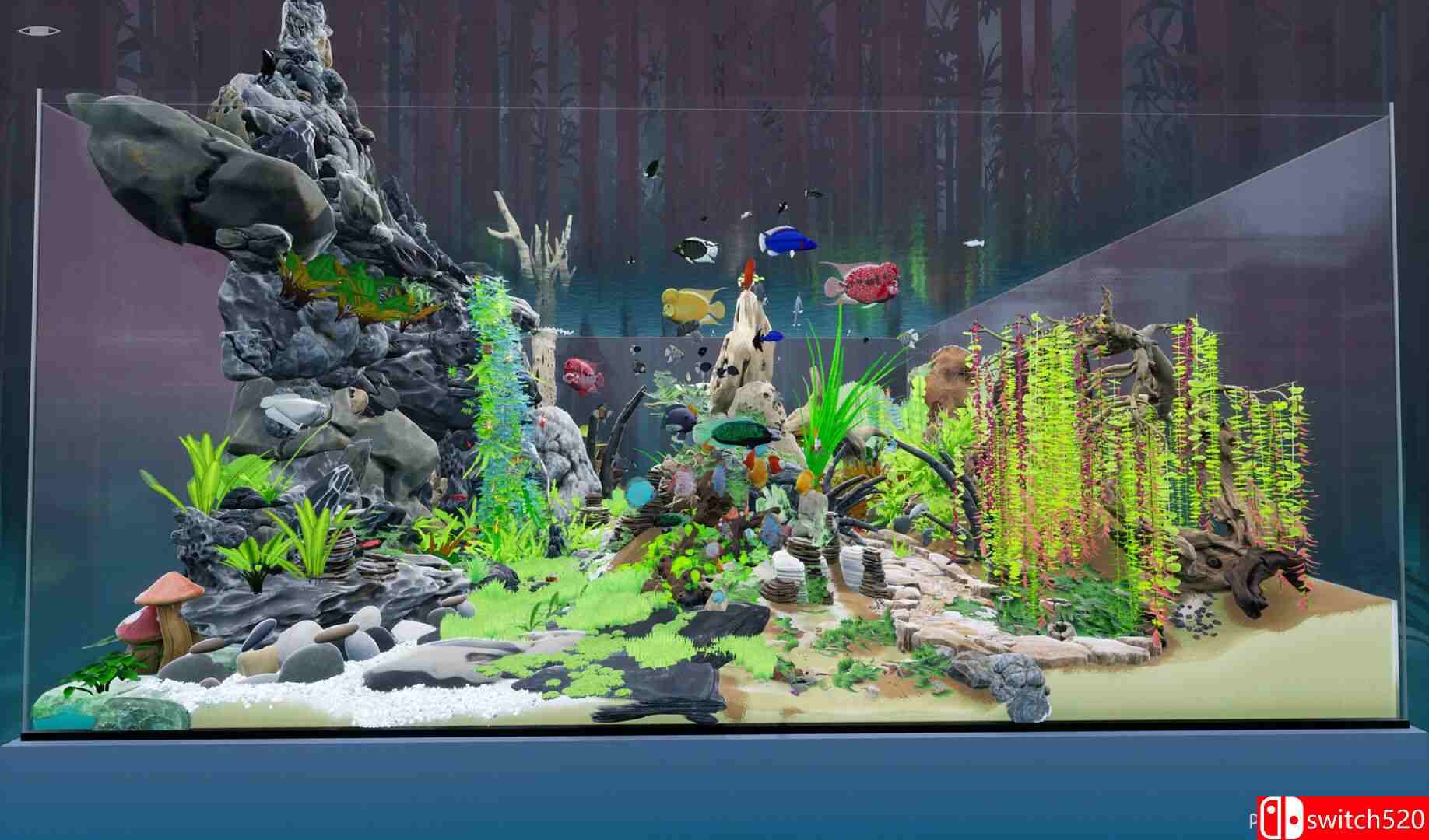 《养鱼模拟器（Fish Game）》集成印度次大陆鱼类DLC TENOKE镜像版[EN]_3