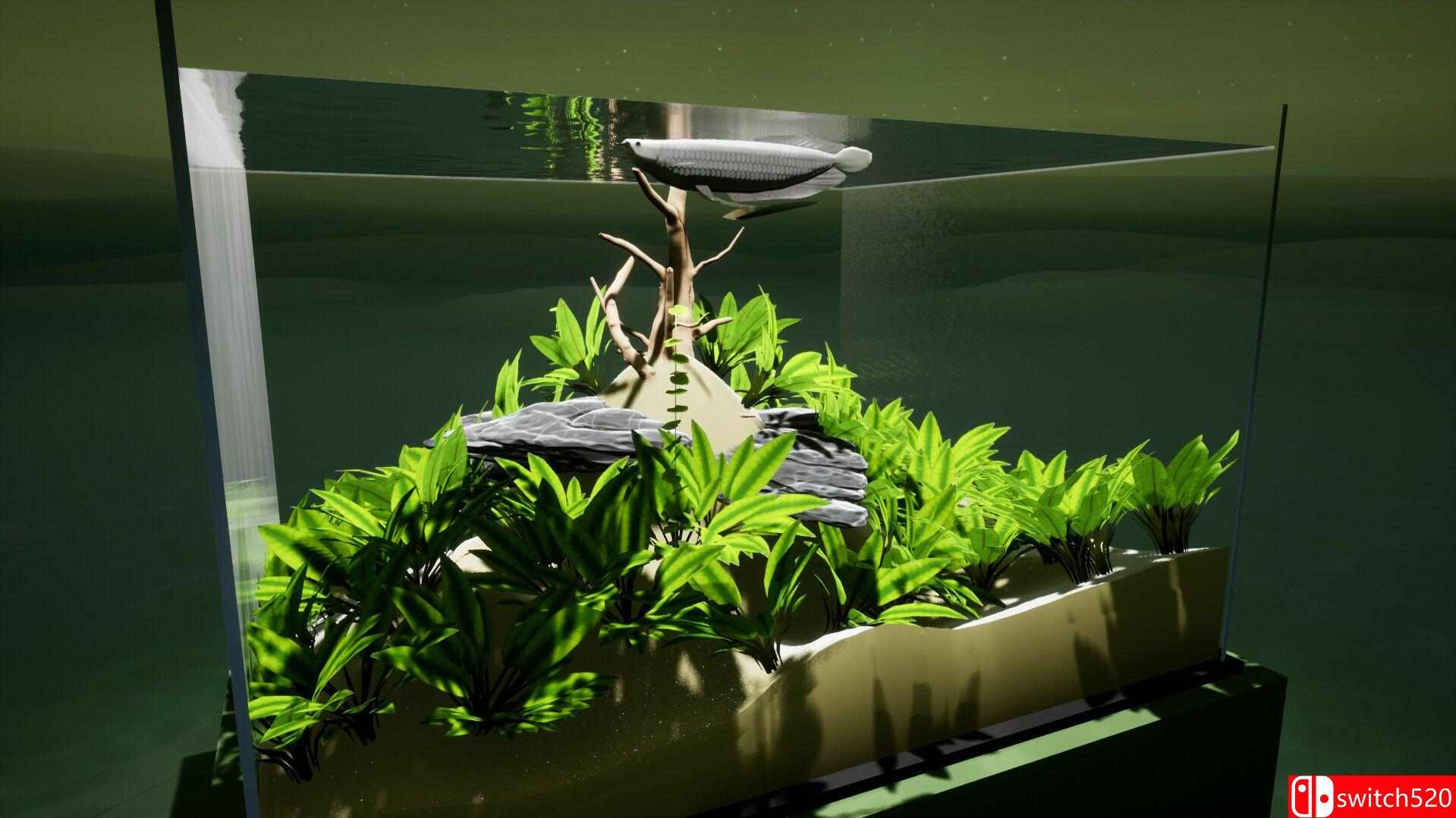 《养鱼模拟器（Fish Game）》集成印度次大陆鱼类DLC TENOKE镜像版[EN]_1