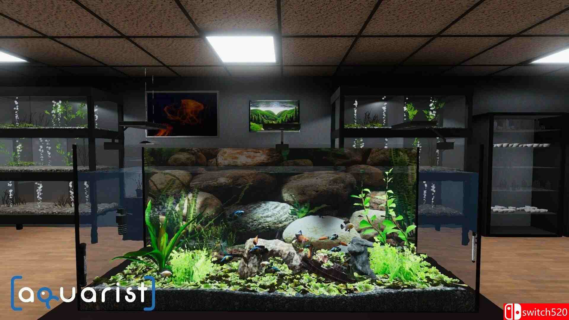《水族馆（Aquarist）》官方中文 集成实验室DLC TENOKE镜像版[CN/TW/EN/JP]_1