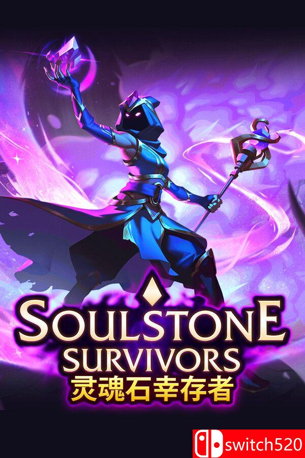 《灵魂石幸存者（Soulstone Survivors）》官方中文 TENOKE镜像版[CN/EN/JP]_0