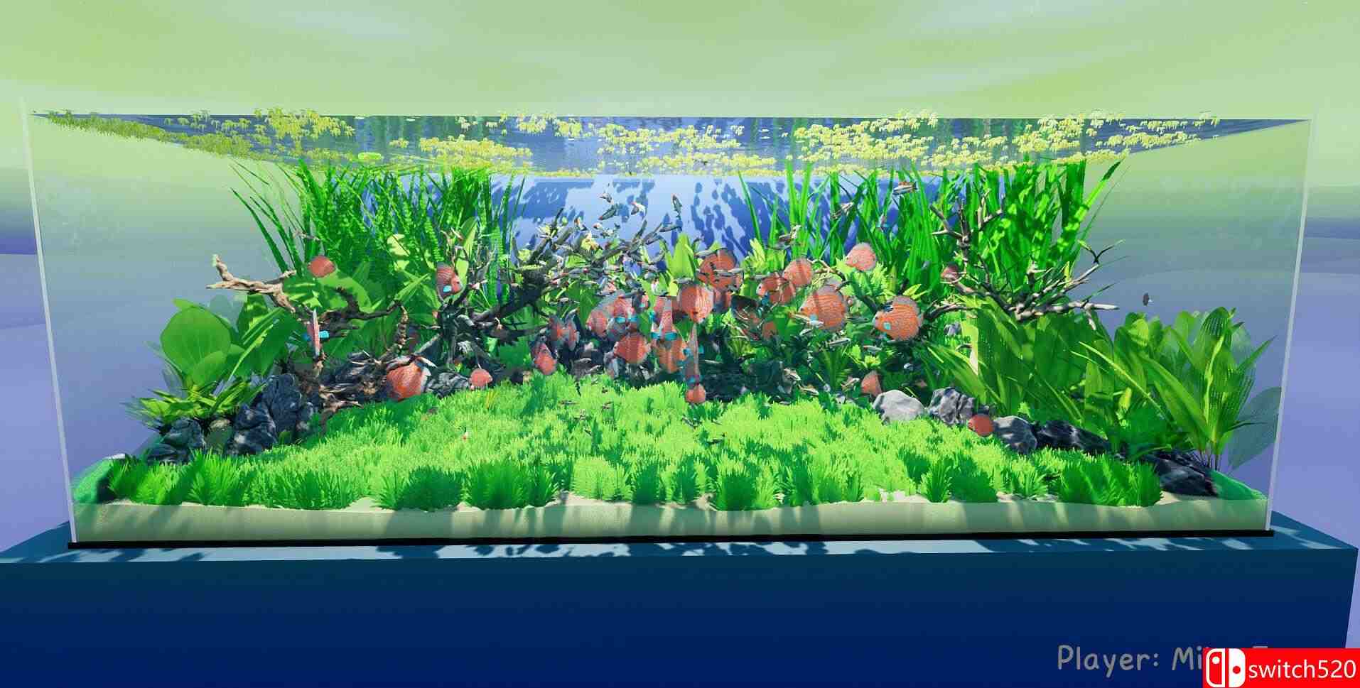 《养鱼模拟器（Fish Game）》集成基质品种包DLC TENOKE镜像版[EN]_5