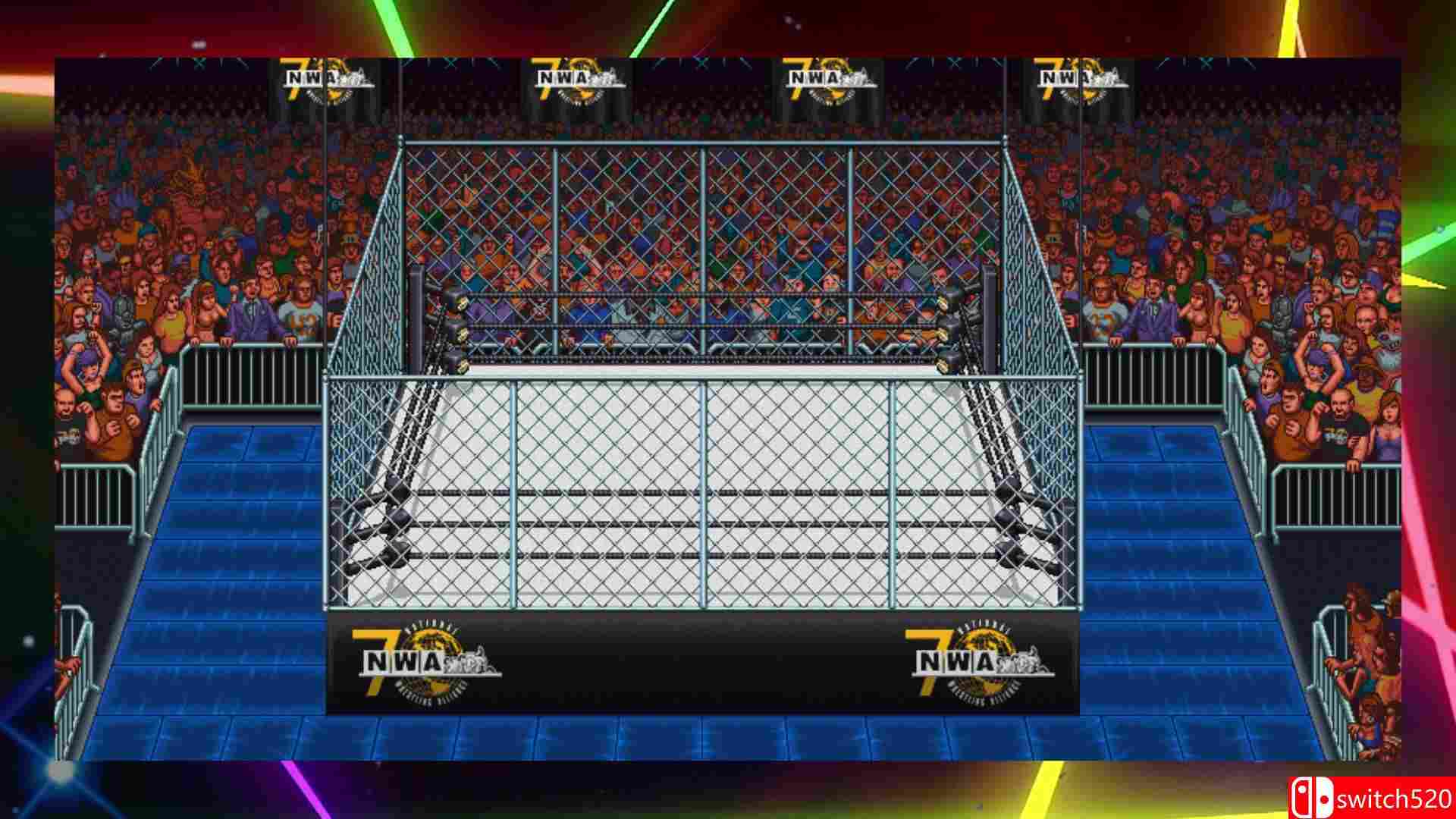 《疯狂复古摔跤（RetroMania Wrestling）》TENOKE镜像版[EN]_4