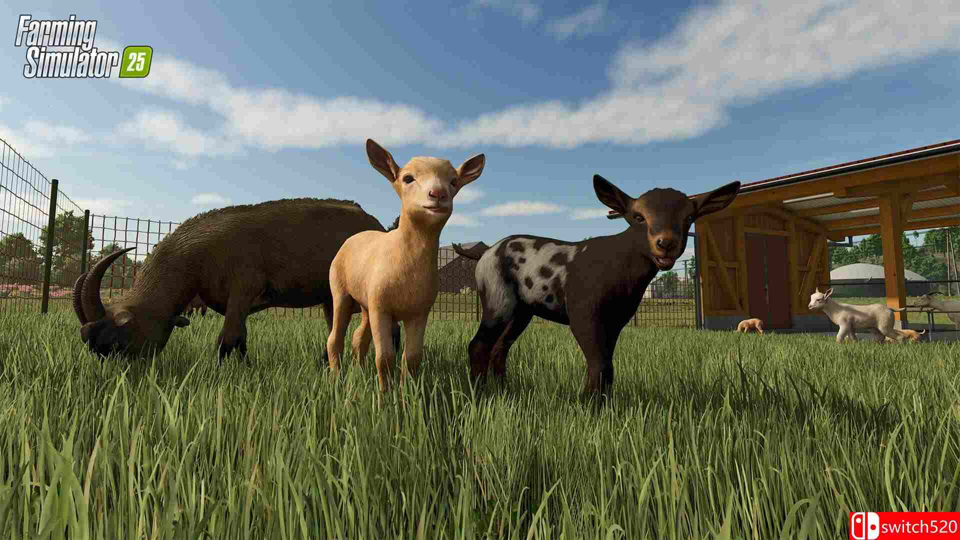 《模拟农场25（Farming Simulator 25）》官方中文 集成高地垂钓DLC RUNE镜像版[CN/TW/EN/JP]_4