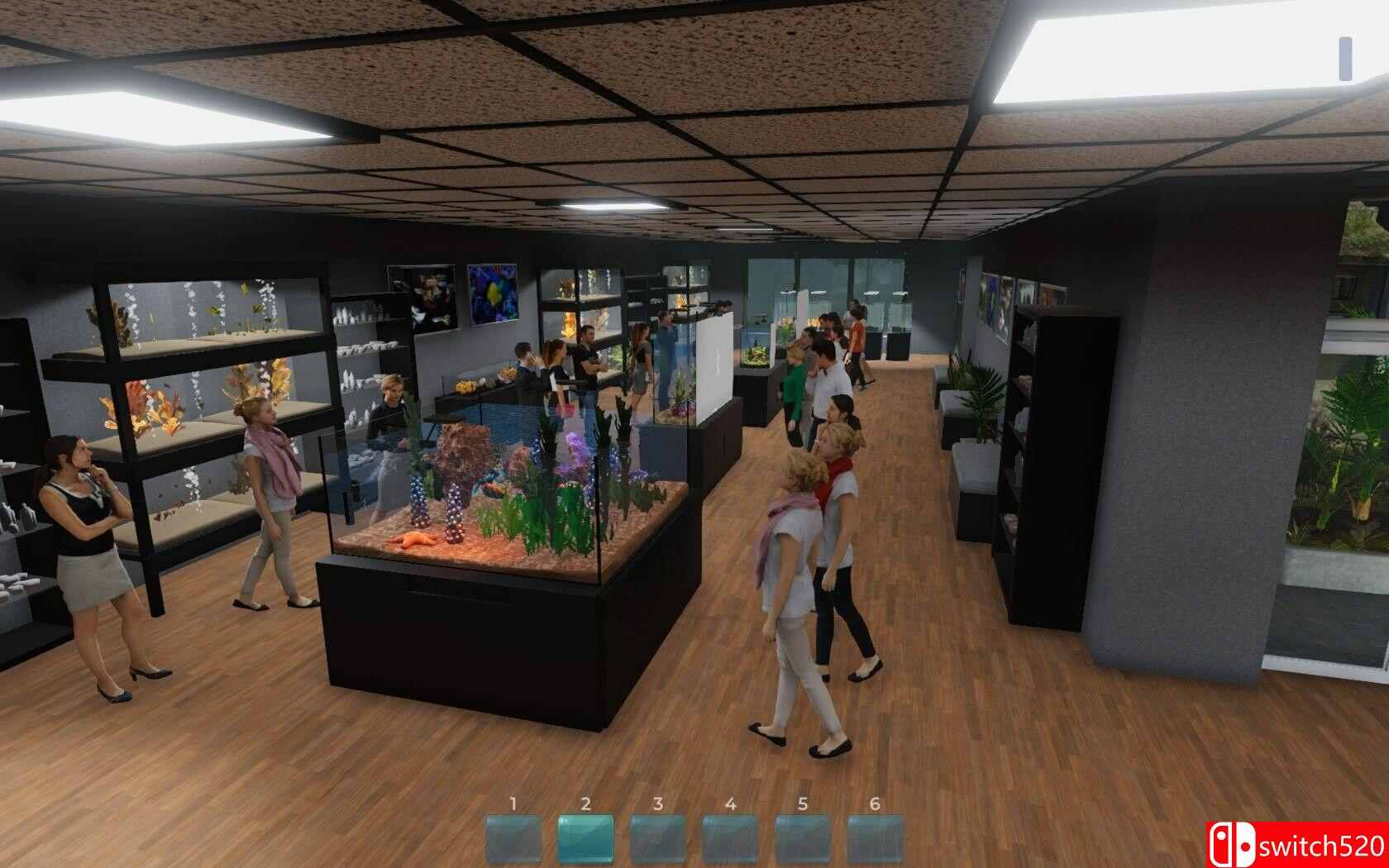 《水族馆（Aquarist）》官方中文 集成北极DLC TENOKE镜像版[CN/TW/EN/JP]_3