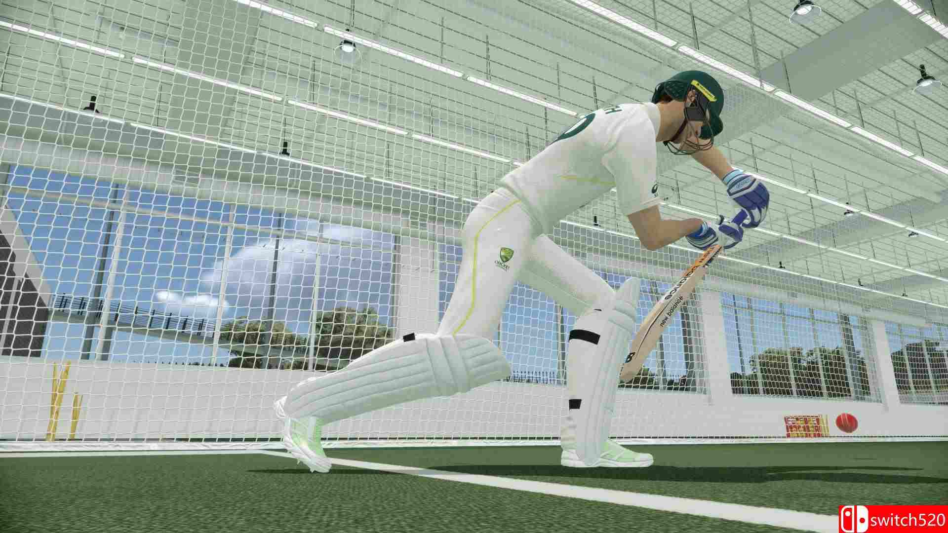 《板球22（Cricket 22）》RUNE镜像版[EN]_2