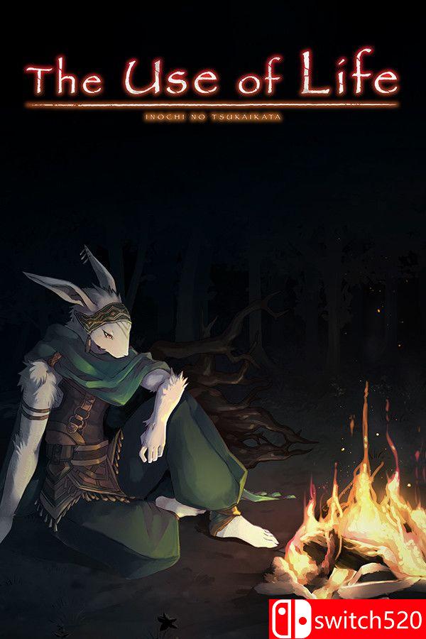 《命途（The Use of Life）》官方中文 TENOKE镜像版[CN/TW/EN/JP]_0