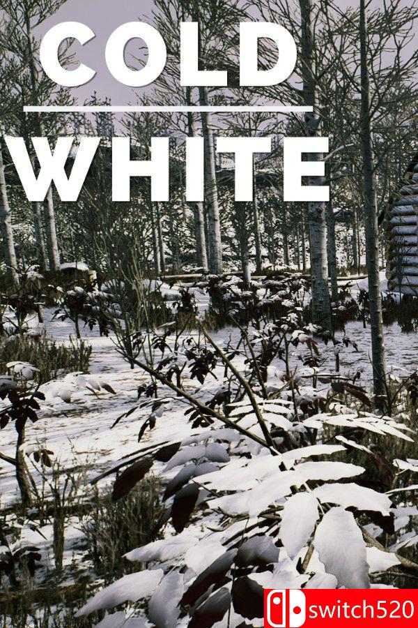《冷白（The Cold White）》官方中文 TENOKE镜像版[CN/TW/EN/JP]_0