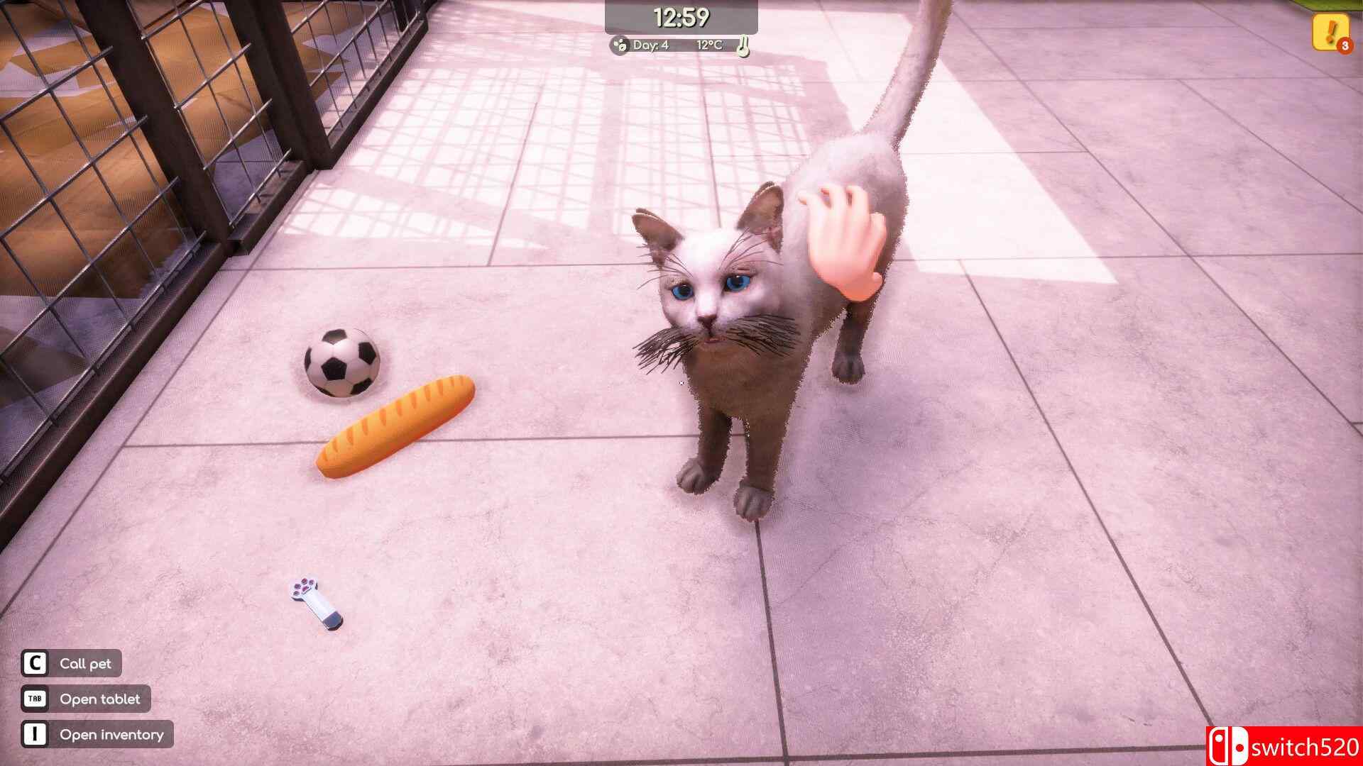 《动物收容所 2（Animal Shelter 2）》官方中文 集成小小伙伴DLC RUNE镜像版[CN/TW/EN/JP]_2