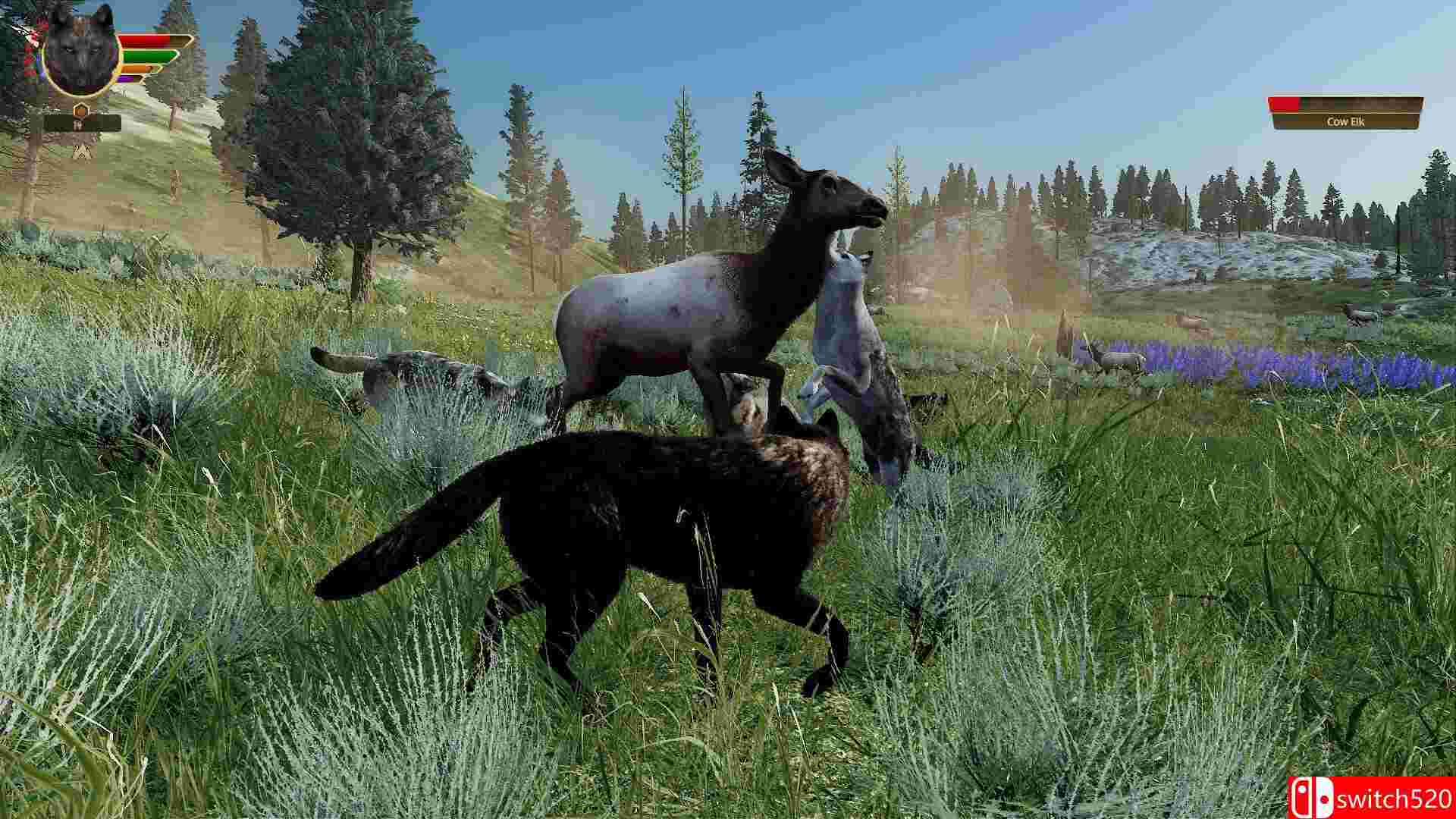 《野狼谜踪：周年纪念版（WolfQuest: Anniversary Edition）》集成塔楼倒塌DLC RUNE镜像版[CN/EN]_5
