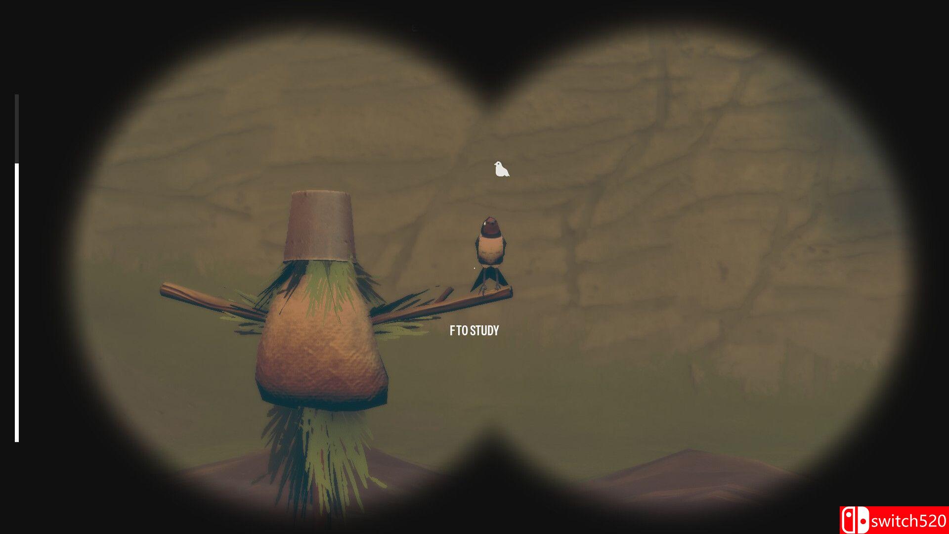 《观鸟（Birds Watching）》Build 22242452 P2P硬盘版[EN]_2