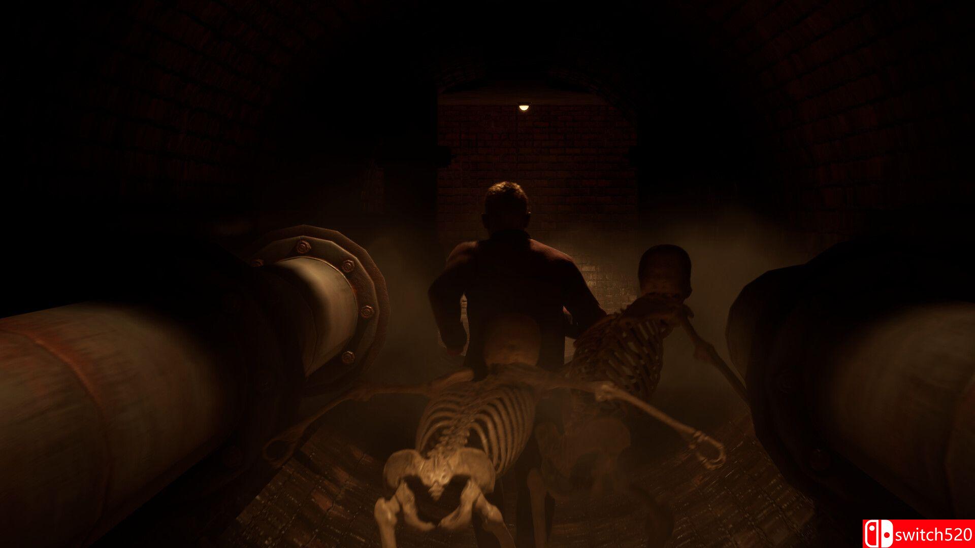 《下水道突袭器（Sewer Raiders）》Build 23098016 P2P硬盘版[EN]_4