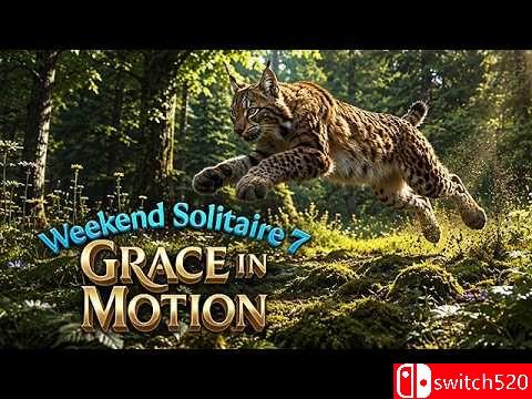 《周末接龙7：优雅律动（Weekend Solitaire 7: Grace in Motio）》RAZOR硬盘版[EN]_0