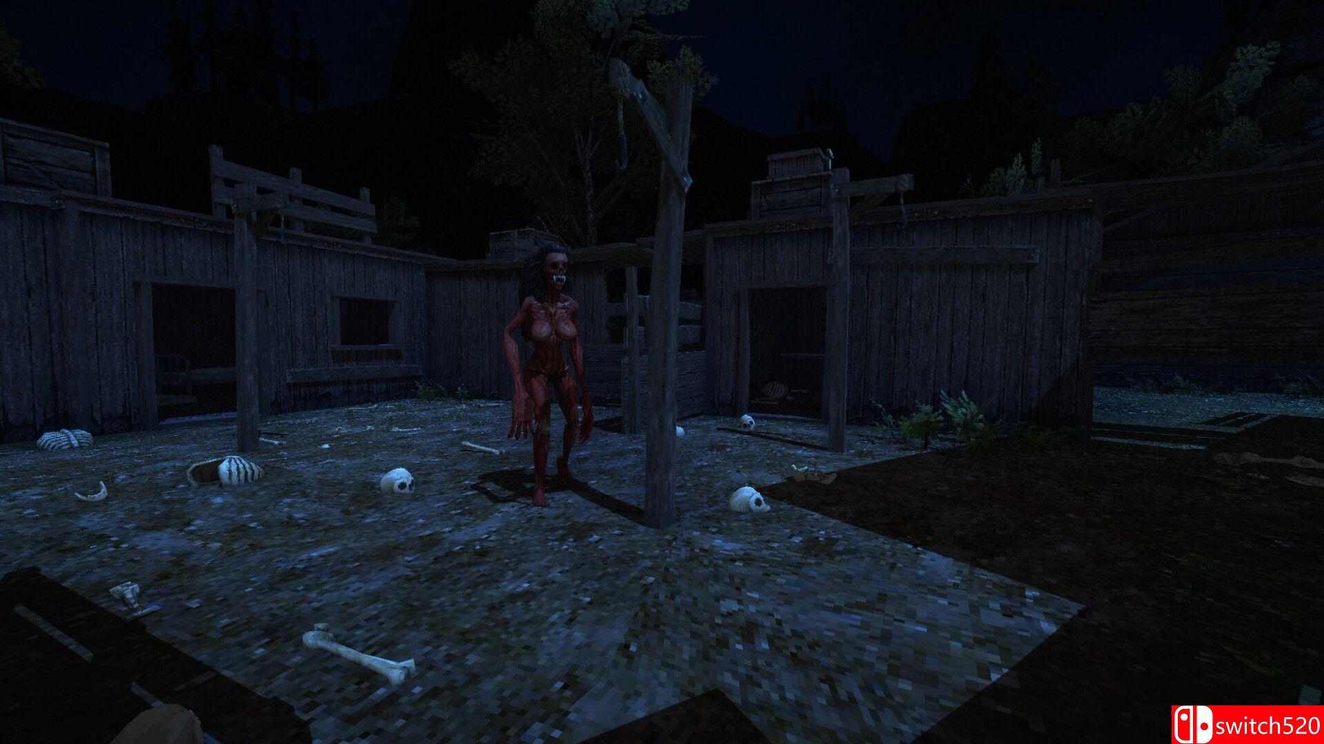《浴血西部（Blood West）》官方中文 集成拾荒者DLC TENOKE镜像版[CN/EN]_4