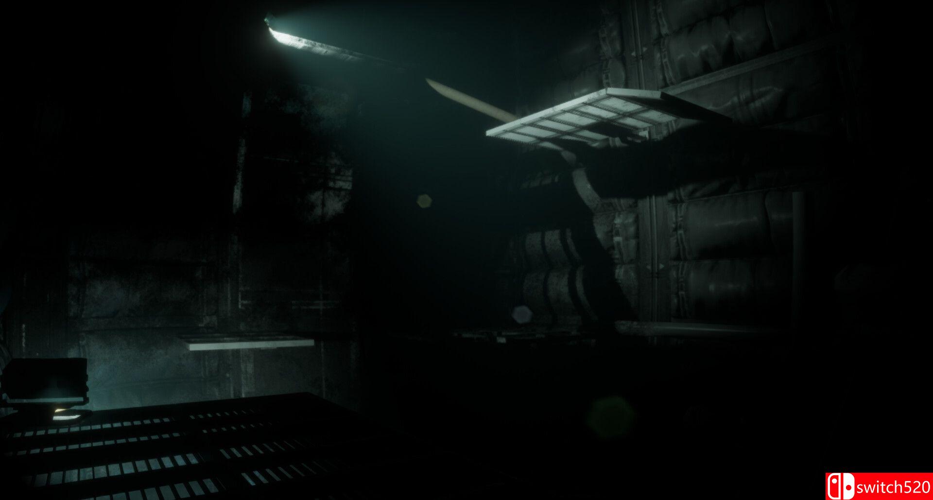 《不祥回响（Dire Echo）》Build 23612973 P2P硬盘版[EN]_5
