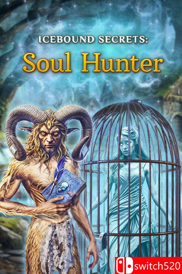 《冰封秘密2：灵魂猎人（Icebound Secrets 2: Soul Hunter）》DELiGHT硬盘版[EN]_0