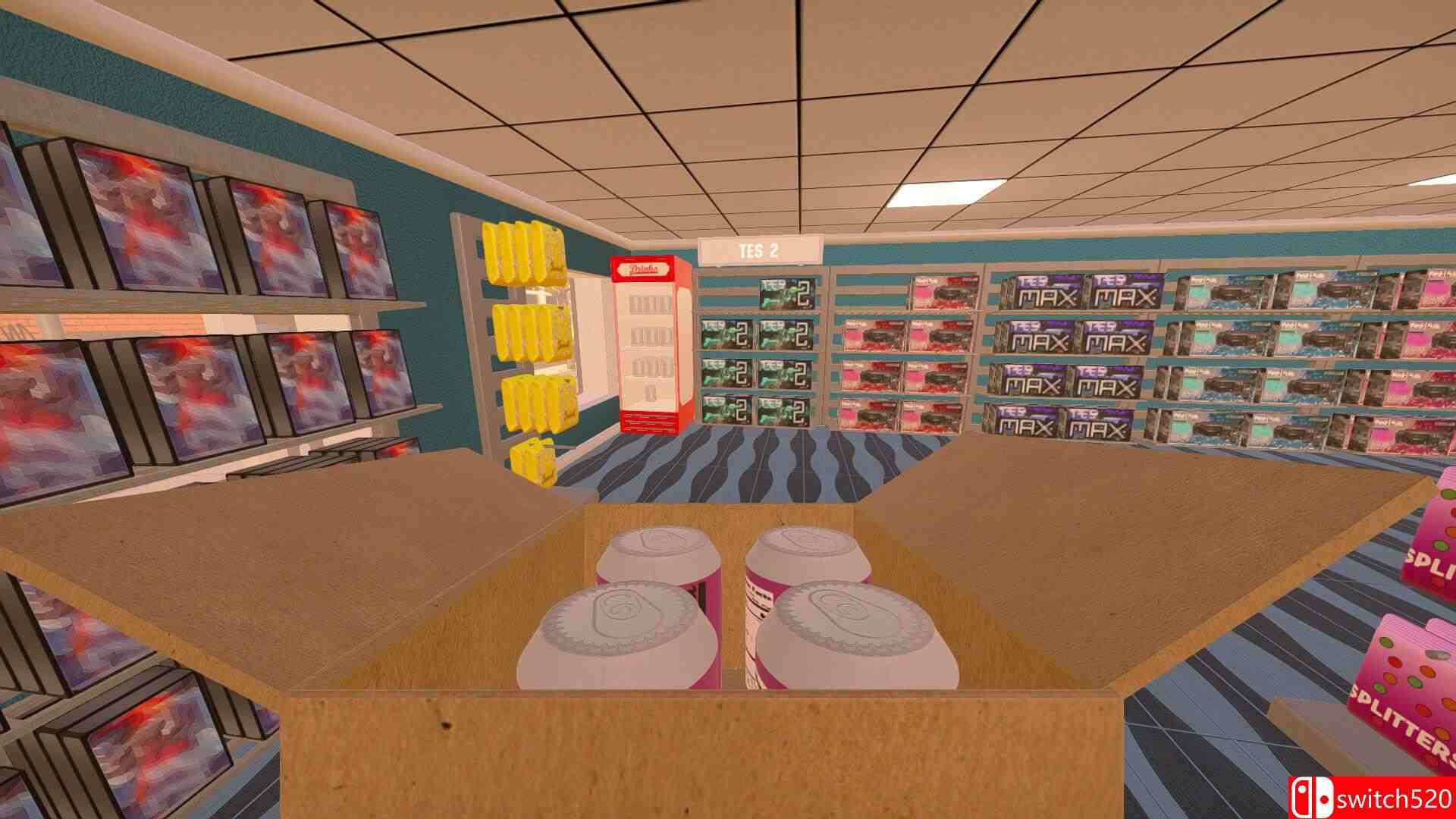 《租赁商店模拟器（Rental Store Simulator）》TENOKE镜像版[EN]_4