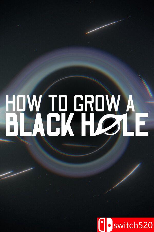 《黑洞养成指南（How To Grow a Black Hole）》官方中文 P2P硬盘版[CN/EN/JP]_0