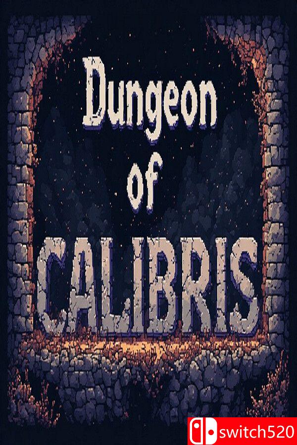 《卡利布里斯地牢：恶魔之（Dungeon of Calibris: Demon Orb）》P2P硬盘版[EN/JP]_0