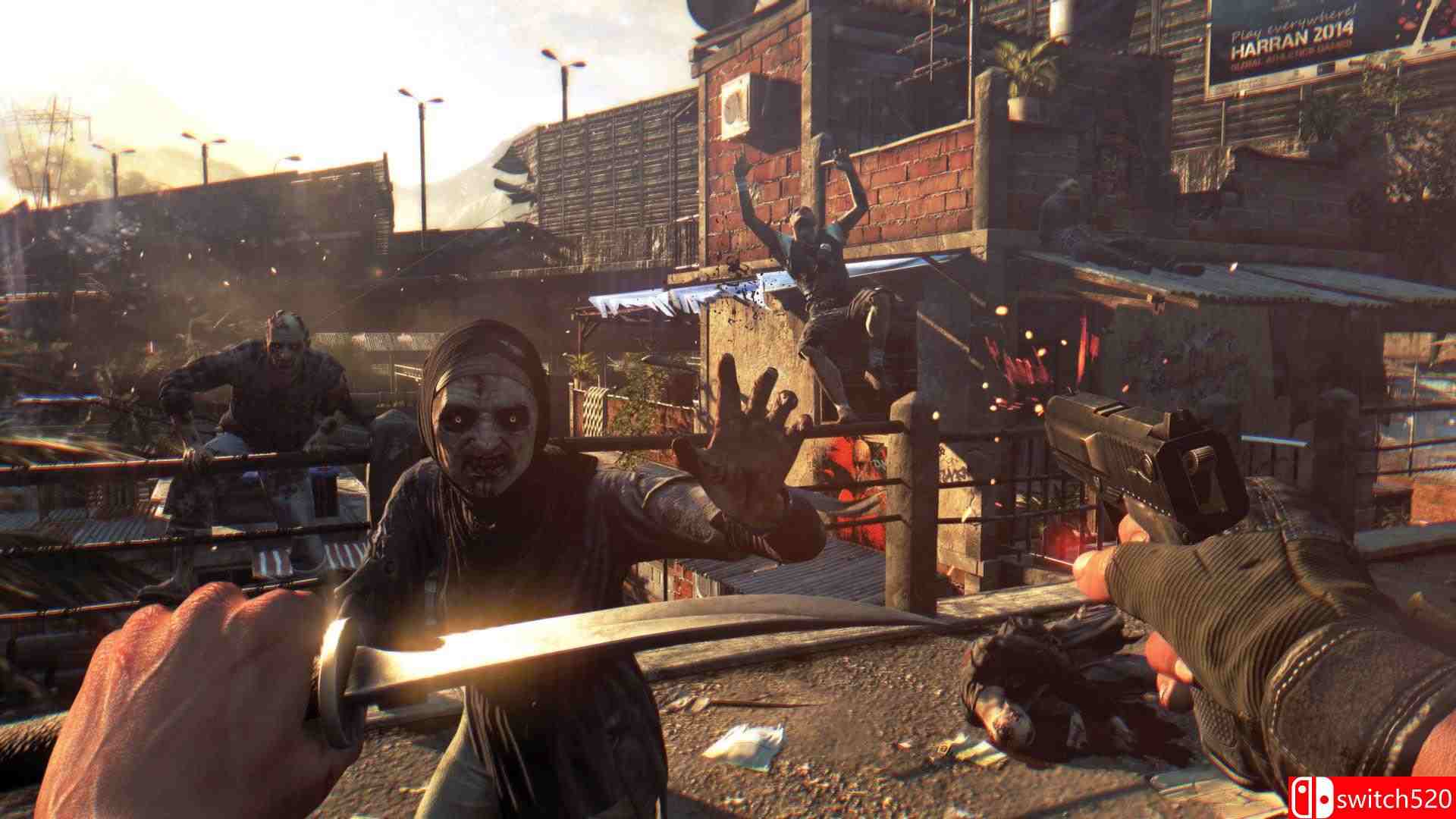 《消逝的光芒：白金版（Dying Light: Enhanced Edition）》官方中文 CODEX镜像版[CN/EN]_9