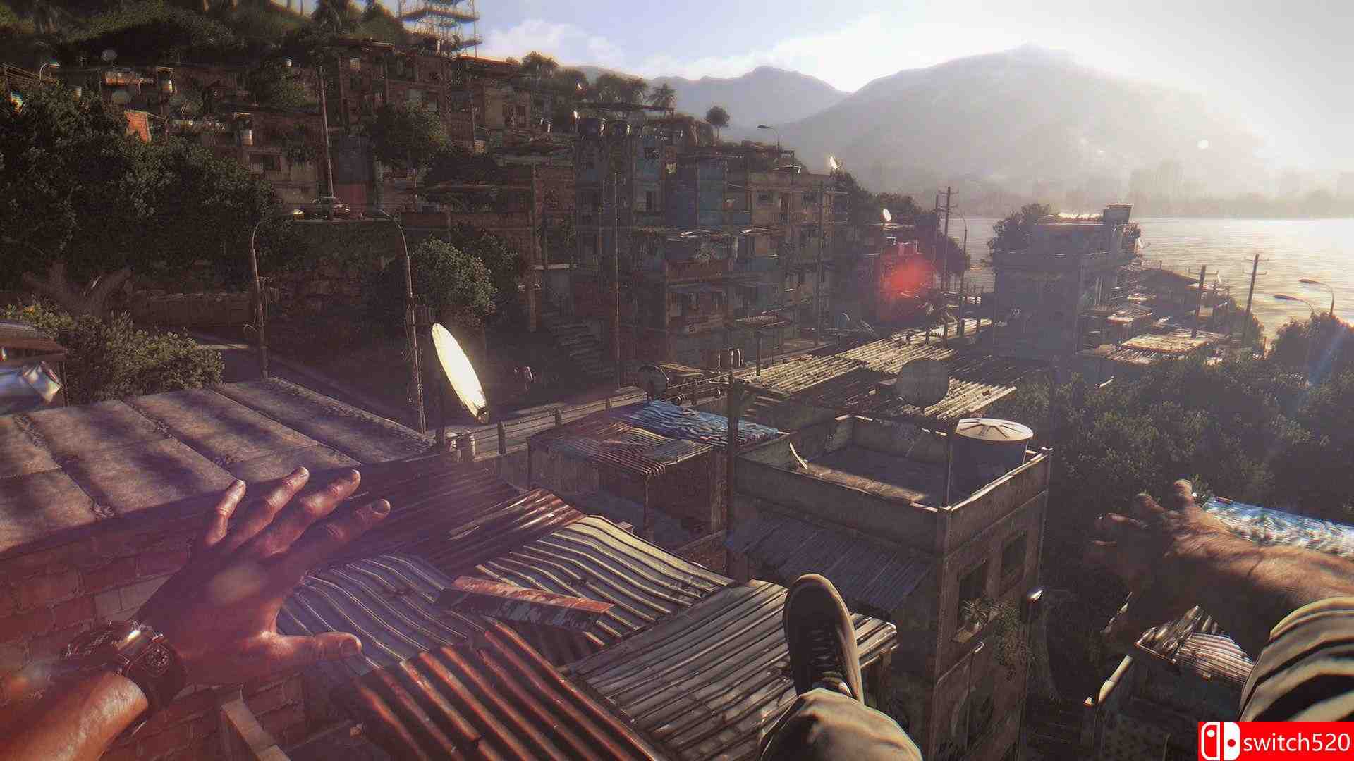 《消逝的光芒：白金版（Dying Light: Enhanced Edition）》官方中文 CODEX镜像版[CN/EN]_8