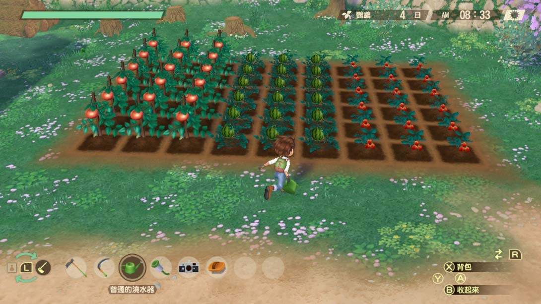 【港版】牧场物语 Welcome! 美丽人生 .STORY OF SEASONS A Wonderful Life 中文_4