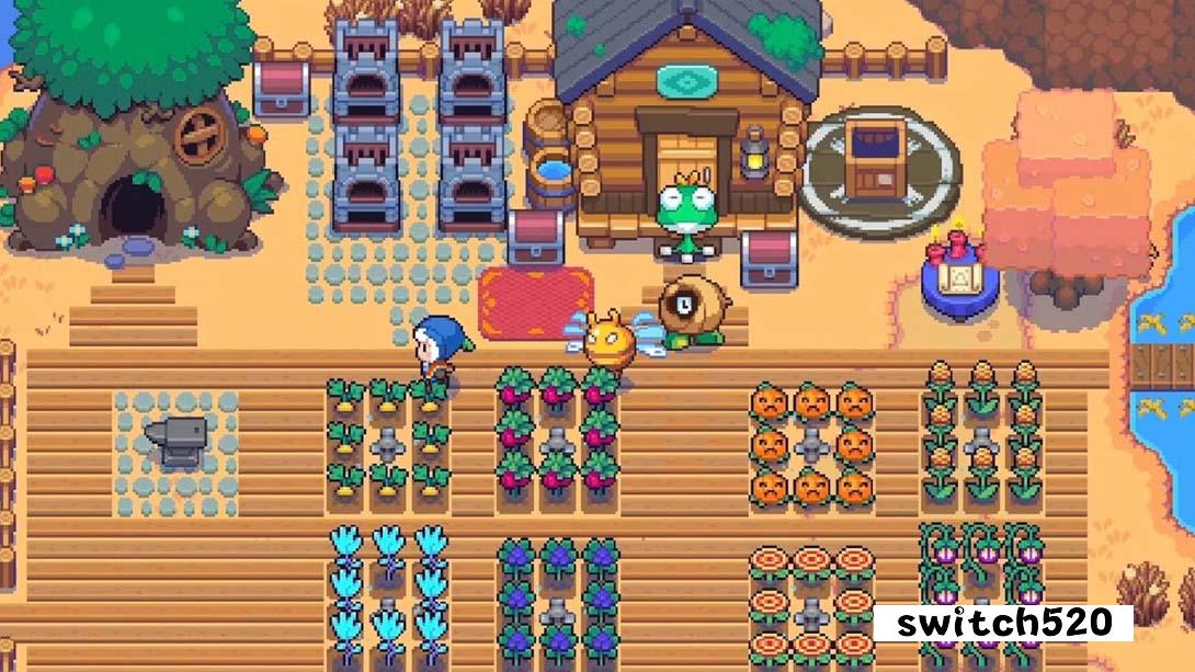 【美版】月光石岛 .Moonstone Island 中文_5