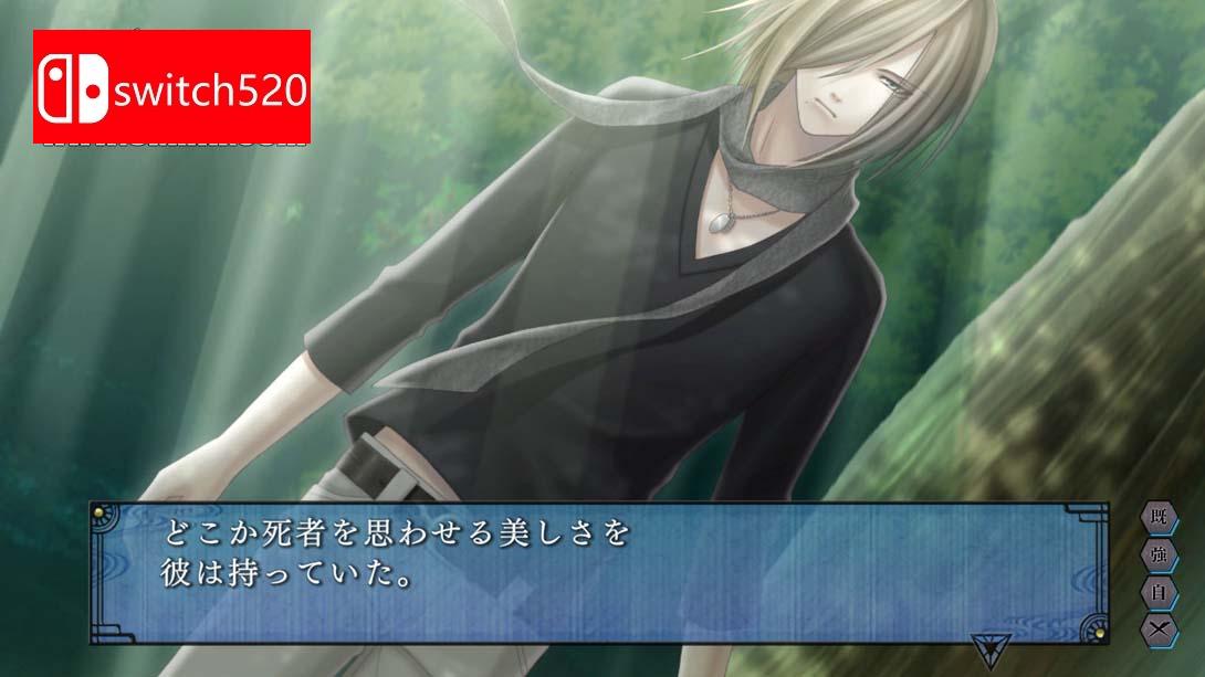 【日版】苍黑之楔~绯色的碎片 玉依姫奇谭~ .蒼黒の楔 ～緋色の欠片 玉依姫奇譚～ for Nintendo Switch 日语_4