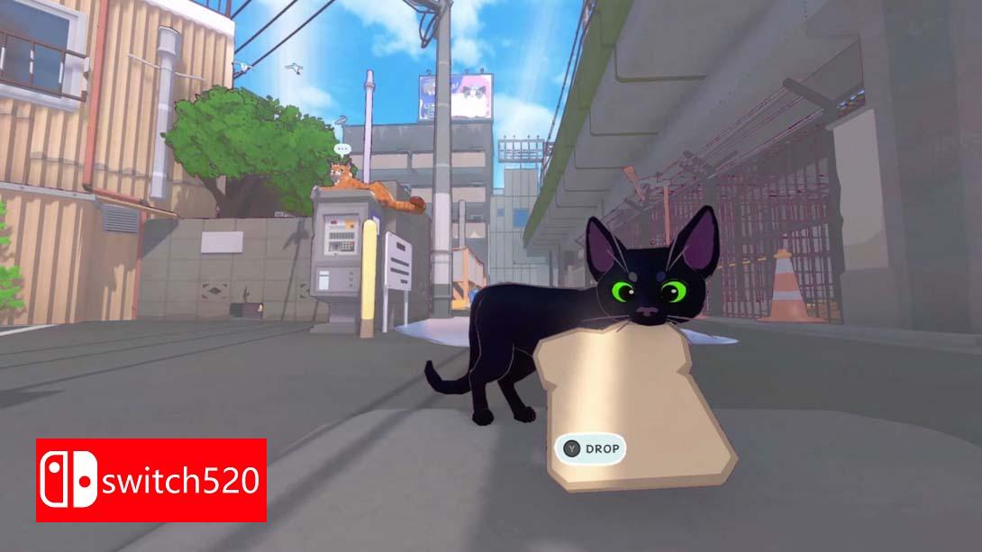 【美版】小猫咪，大城市 .Little Kitty, Big City 中文_2