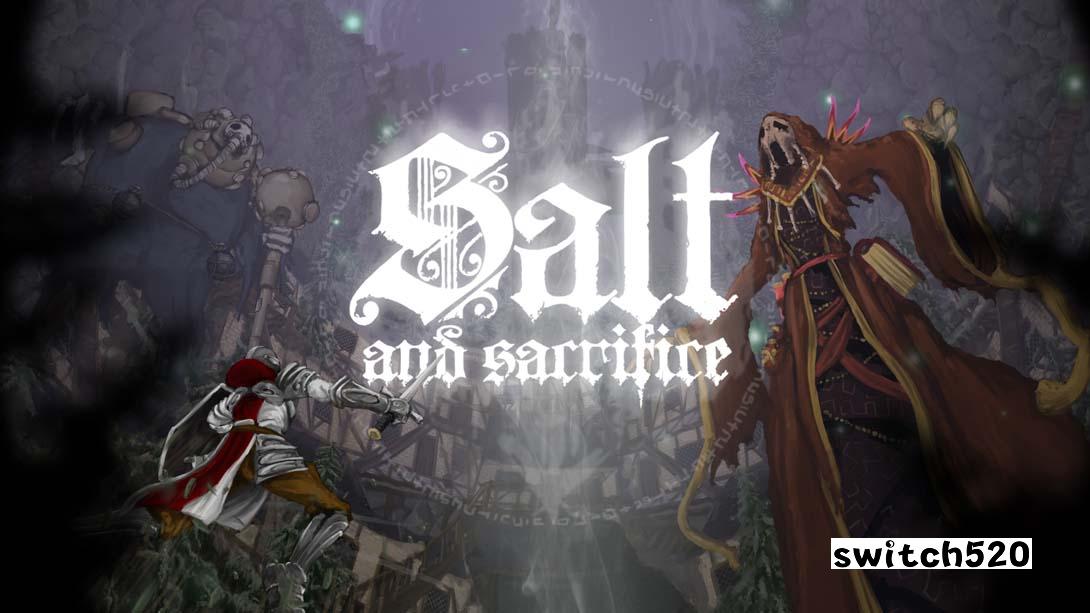 【美版】盐与献祭 .Salt and Sacrifice 中文_0