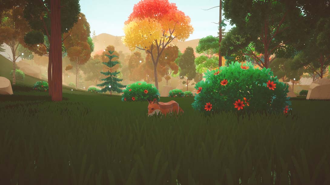 【美版】Leafy Trails 英语_6